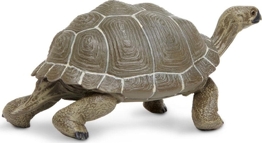 Incredible Creature Galapagos Adult Tortoise - Stevensons Toys