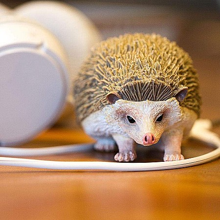 Hedgehog Toy