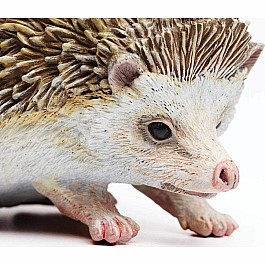 Hedgehog Toy