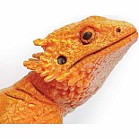 Incred Crea Bearded Dragon