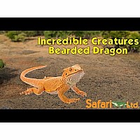 Incred Crea Bearded Dragon