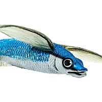 Flying Fish Toy