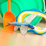 Flying Fish Toy