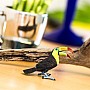 Bird: Toucan