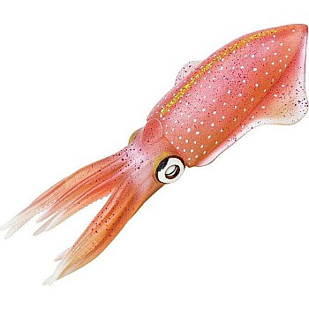 Reef Squid