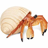 Hermit Crab Toy