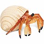 Incredible Creature Hermit Crab