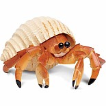 Hermit Crab Toy