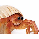 Hermit Crab Toy