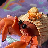 Hermit Crab Toy