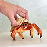 Hermit Crab Toy