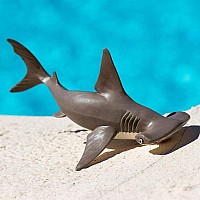 Hammerhead Shark Baby