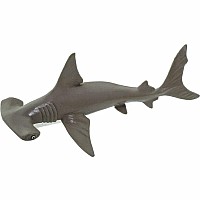 Hammerhead Shark Baby