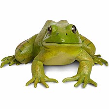 American Bullfrog Figurine