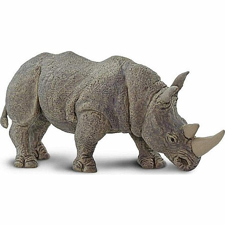 White Rhino