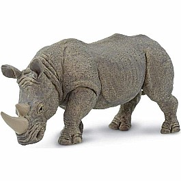 White Rhino