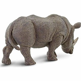 White Rhino