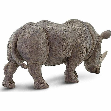 White Rhino