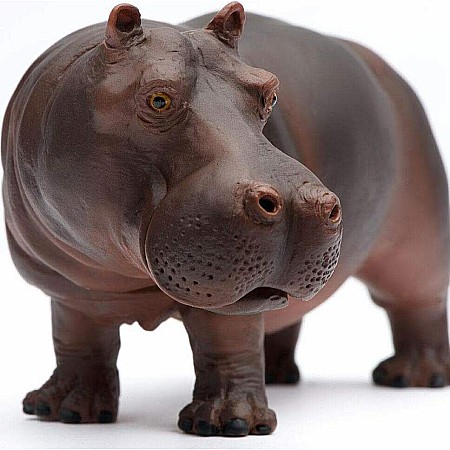 Hippopotamus Toy