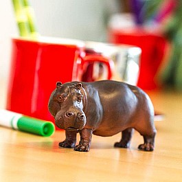 Hippopotamus Toy