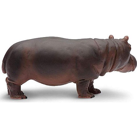 Hippopotamus Toy