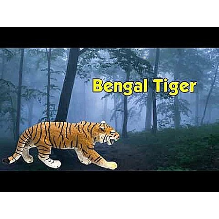 Bengal Tiger Toy