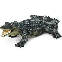 Crocodile