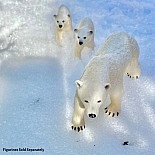 Polar Bear Toy