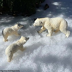 Polar Bear