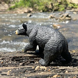 Black Bear Toy