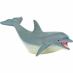 Dolphin 2 *D*