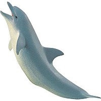 Dolphin Toy