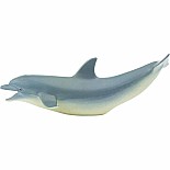 Dolphin Toy