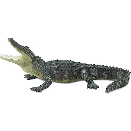 Alligator Toy