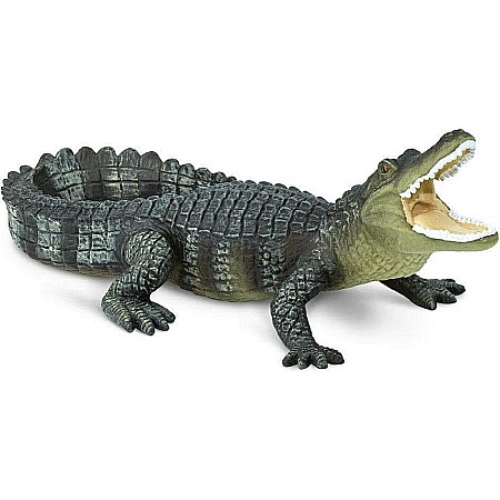 Alligator Toy