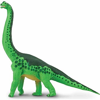 Brachiosaurus 