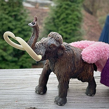 Woolly Mammoth