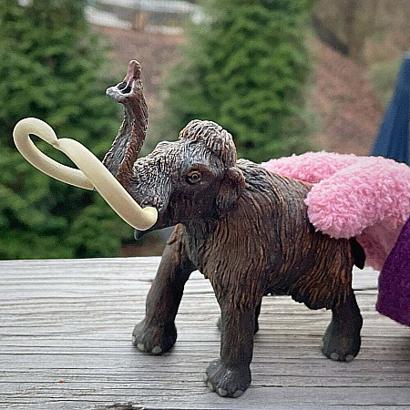 Wooly Mammoth