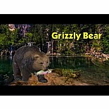 Grizzly Bear w/Fish