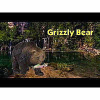 Grizzly Bear w/Fish