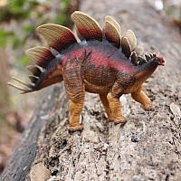 Stegosaurus