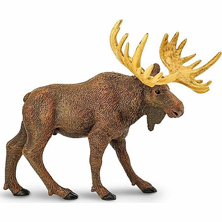 Moose Toy