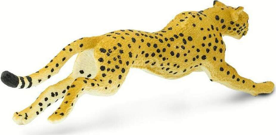 Cheetah - Junction Hobbies and Toys