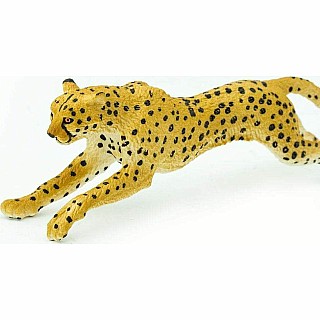 Cheetah Running