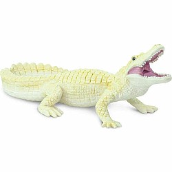 White Alligator