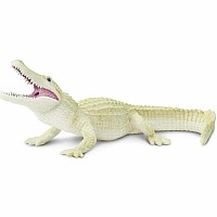 White Alligator