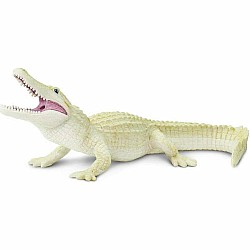 White Alligator