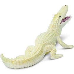 White Alligator