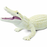 White Alligator