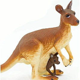 Kangaroo